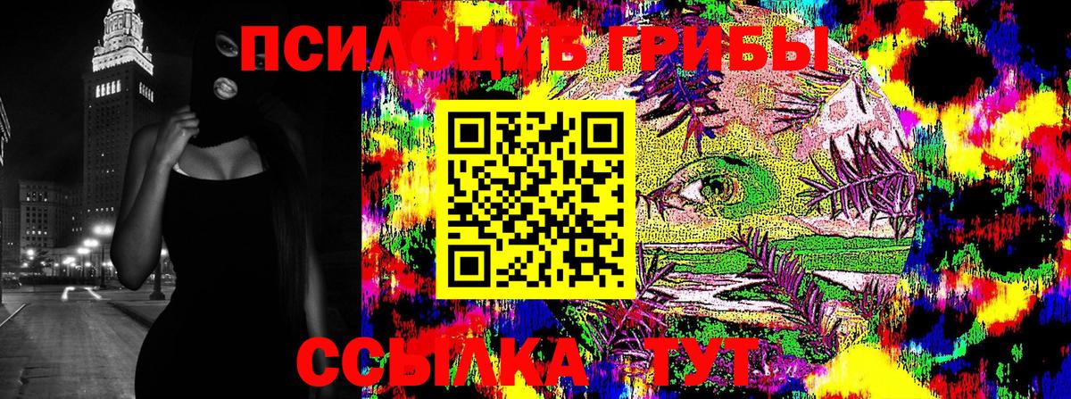 Псилоцибиновые грибы GOLDEN TEACHER Орск