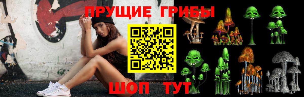 Галлюциногенные грибы Magic Shrooms  Галлюциногенные грибы Psilocybe  Орск  купить наркотик  Вход с VPN 